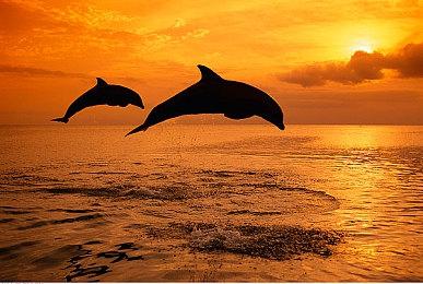 悬疑解谜游戏《孙美琪疑案 2022》今日于steam正式发售